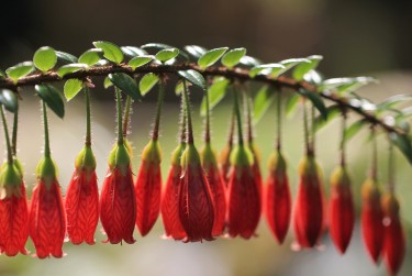惠州龙门7私人快速借钱网，轻松解决资金难题