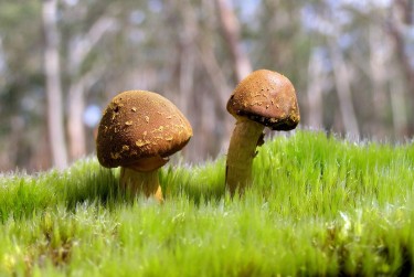 惠州龙门7私人老板放款：轻松融资的秘密通道